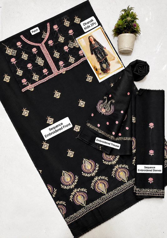 Kids Luxury Dhanak 2Pc