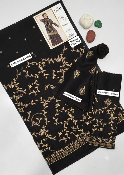 Kids Luxury Dhanak 2Pc