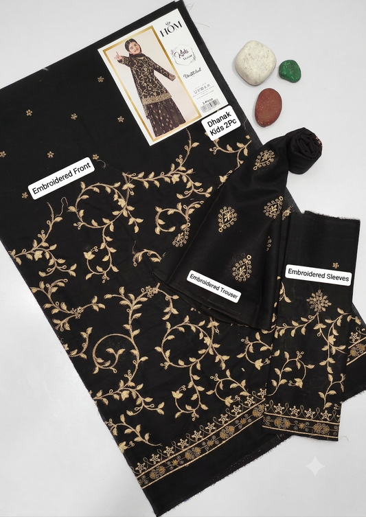Kids Luxury Dhanak 2Pc