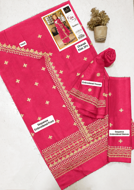 Kids Luxury Dhanak 2Pc