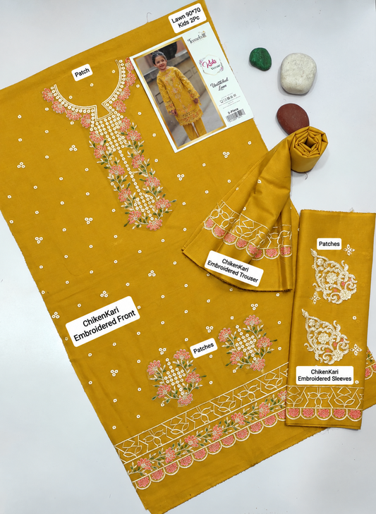 Kids Luxury Dhanak 2Pc