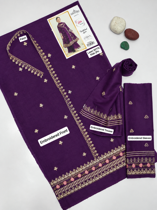 Kids Luxury Dhanak 2Pc