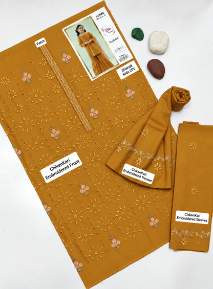 Kids Luxury Dhanak 2Pc
